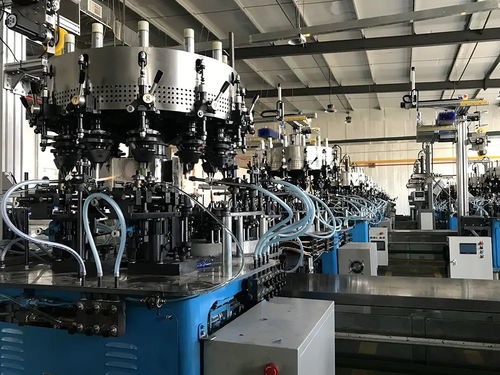 填补我省空白 又一座智能工厂落户林甸