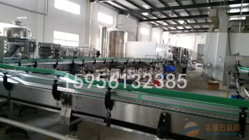 cgf 4000型瓶装纯净水生产线